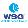 Well Services Group Netherlands Jobs Expertini